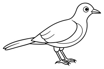 illustration of a pigeon