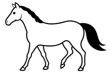 horse isolated on white