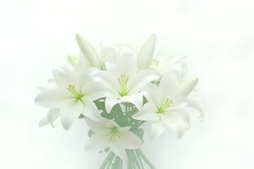 Fototapeta premium A serene still life featuring a pure white lily bouquet against a minimalist white background