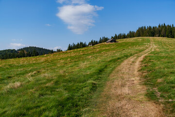 View of a steep mountain climb across a meadow between forests with a cottage in the background.