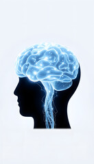 Obraz premium Psychology of the human thinking. Abstract conceptual image isolated with white highlights, png