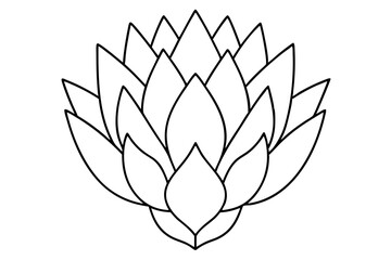 king protea flower vector illustration