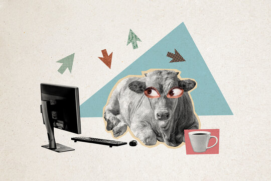 Composite photo collage of weird cow animal sit office workplace keyboard mouse pc monitor big eyes stare isolated on painted background - Powered by Adobe