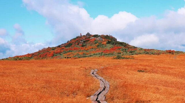 紅葉の栗駒山のしろがね湿原とモンサンミッシェル