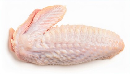 Raw chicken wing isolated on white background.