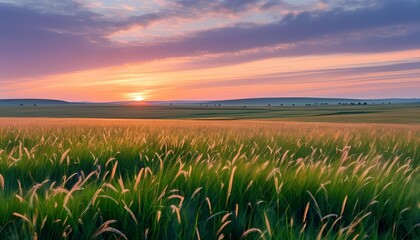 Serene Sunset Over Lush Green Fields