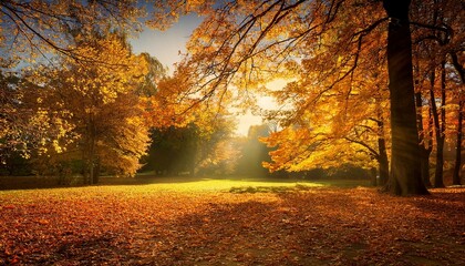 Obraz premium autumn in the park