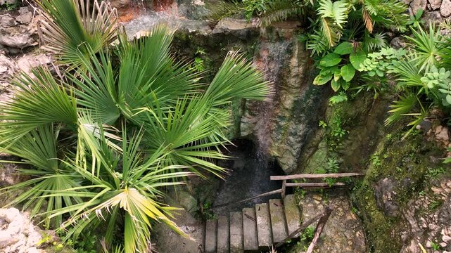 Water cascades over stone steps into a serene pool at the bottom of a lush, tropical sinkhole in mexico's yucatan