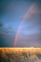 rainbow over the field