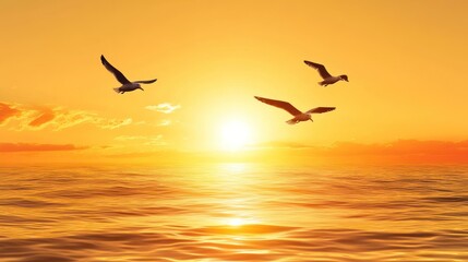 Three Seagulls Flying Over a Golden Ocean Sunset