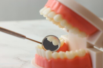 Dentist wearing gloves holding a simulator month in the hand and inspecting it with a month mirror. Close up of the teeth inspection 