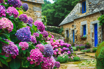 Beautiful garden with hydrangeas