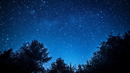 Fototapeta premium A serene night sky illuminated by twinkling stars over a tranquil forest during a clear summer evening