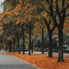 Naklejka premium autumn in the city