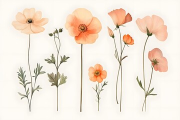 Watercolor Illustration of Delicate Peach Flowers with Green Stems