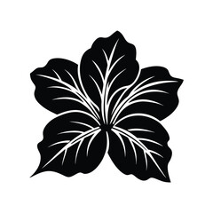 A stunning black vector illustration of a Hawaiian flower, perfect for various design projects.