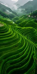 Photo sur Plexiglas Drone voando sobre uma paisagem verdejante.