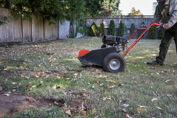 Senior man operating a gas powered stump grinding machine to cut back tree roots in a lawn, fall yard maintenance
