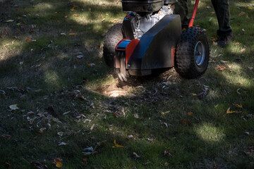 Senior man operating a gas powered stump grinding machine to cut back tree roots in a lawn, fall yard maintenance
