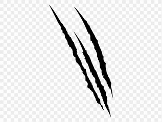 Three black claw scratches isolated on a transparent background. Perfect for Halloween designs, horror themes, and animalistic effects.