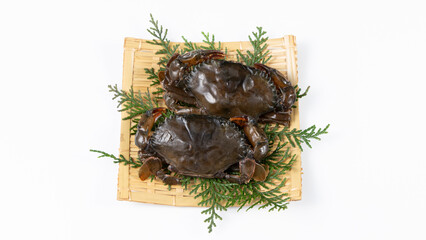 白バックに置いた生のソフトシェル蟹