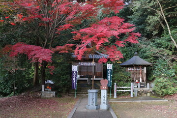 愛知県犬山市の寂光院。馬鳴堂(ﾒﾐｮｳﾄﾞｳ左）と弁天堂(右)