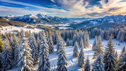 High angle winter mountain landscape with trees and snow