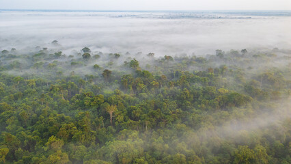 AERIAL PHOTOS OF THE NANAY RIVER IN THE PERUVIAN AMAZON, IGAPOS OR BLACK WATER RIVERS OF THE AMAZON, IN THE ALLPAHUAYO MISHANA NATIONAL RESERVE