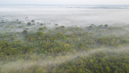 AERIAL PHOTOS OF THE NANAY RIVER IN THE PERUVIAN AMAZON, IGAPOS OR BLACK WATER RIVERS OF THE AMAZON, IN THE ALLPAHUAYO MISHANA NATIONAL RESERVE