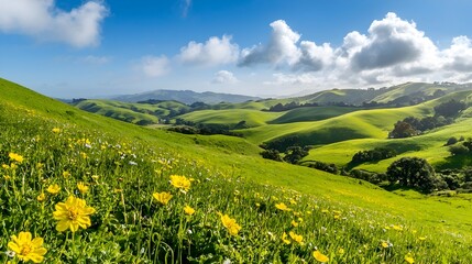 Fototapeta premium Panoramic view of rolling green hills dotted with vibrant wildflowers in full bloom creating a serene and picturesque countryside landscape