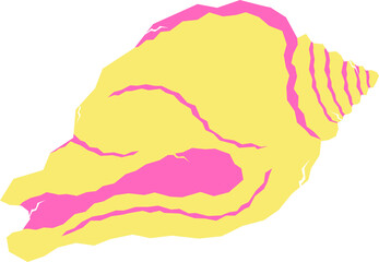 Sea Shell Illustration