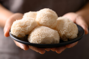 Lion's Mane mushroom or Yamabushitake mushroom with hand