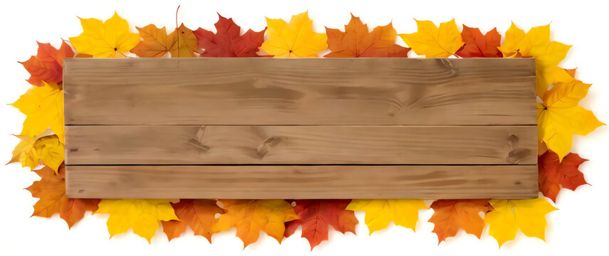 blank wooden sign with space for text banner with autumn leaves background