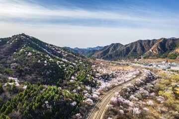 Fototapeta premium Spring is the most beautiful season along Beijing Suburban Rail Line S2 (also known as 
