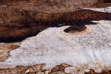 Wood texture background,Top view old wooden in dark brown and grey with natural rough surface abstract pattern,Concept for Nature Plywood backdrop	