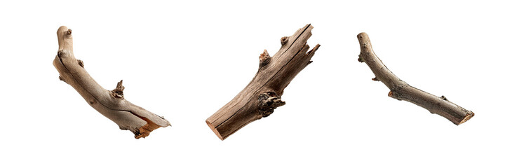 Fototapeta premium Three isolated tree branches on a white background.