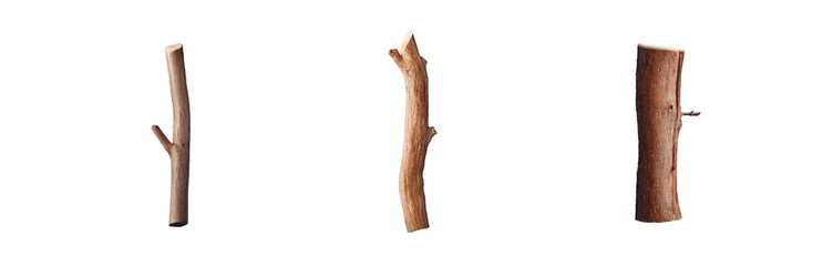 Fototapeta premium Three isolated tree branches are shown in front of a blue background.