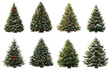 Fototapeta premium Beautiful Christmas Trees with Ornaments and Lights