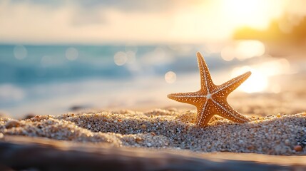 Soft lit Close up of a Starfish Resting on a Tranquil Sandy Beach with Warm Sunlight Tones and a Double Exposure Silhouette Pattern  Peaceful Calming and Meditative Nature Concept
