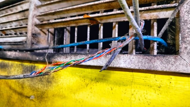 The damaged UTP network cable from the office was peeled off due to rat bites, revealing the UTP cable inside.