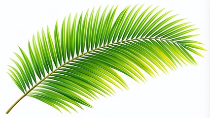 Obraz premium Palm Tree Leaf Silhouette Vector Illustration Isolated on White Background for Tropical Designs and Nature Themes