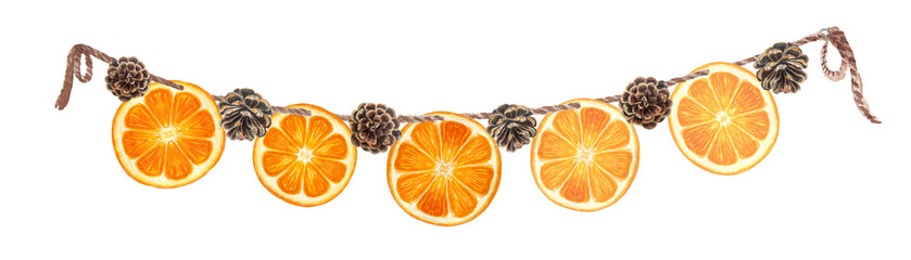 Orange slices pine cone on a jute rope decor watercolor banner isolated on white background. High quality hand drawn art perfect for food design, posters, cards, organic food logo, Christmas design