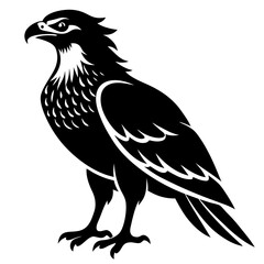 eagle isolated on white background