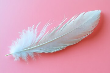 Obraz premium Elegant White Feather on Soft Pink Backdrop,A pristine white feather, gently resting on a soft pink background, exudes elegance and simplicity