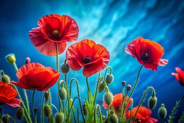 Fototapeta premium Vibrant red poppies flourish against a serene blue backdrop, showcasing an artistic floral photograph perfect for