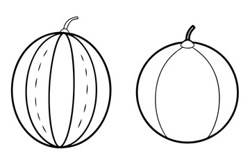 Two Cantaloupe line art logo icon vector illustration.