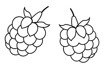 Two grape fruits line art logo icon vector illustration.