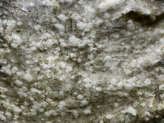 Texture of a weathered fabric surface background, old weathered fabric surface in close up