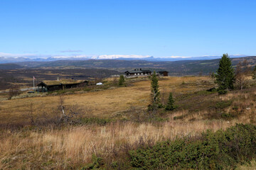 Fototapeta premium Norwegian landscape