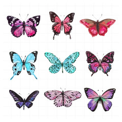 Butterfly painted in watercolor on white background.